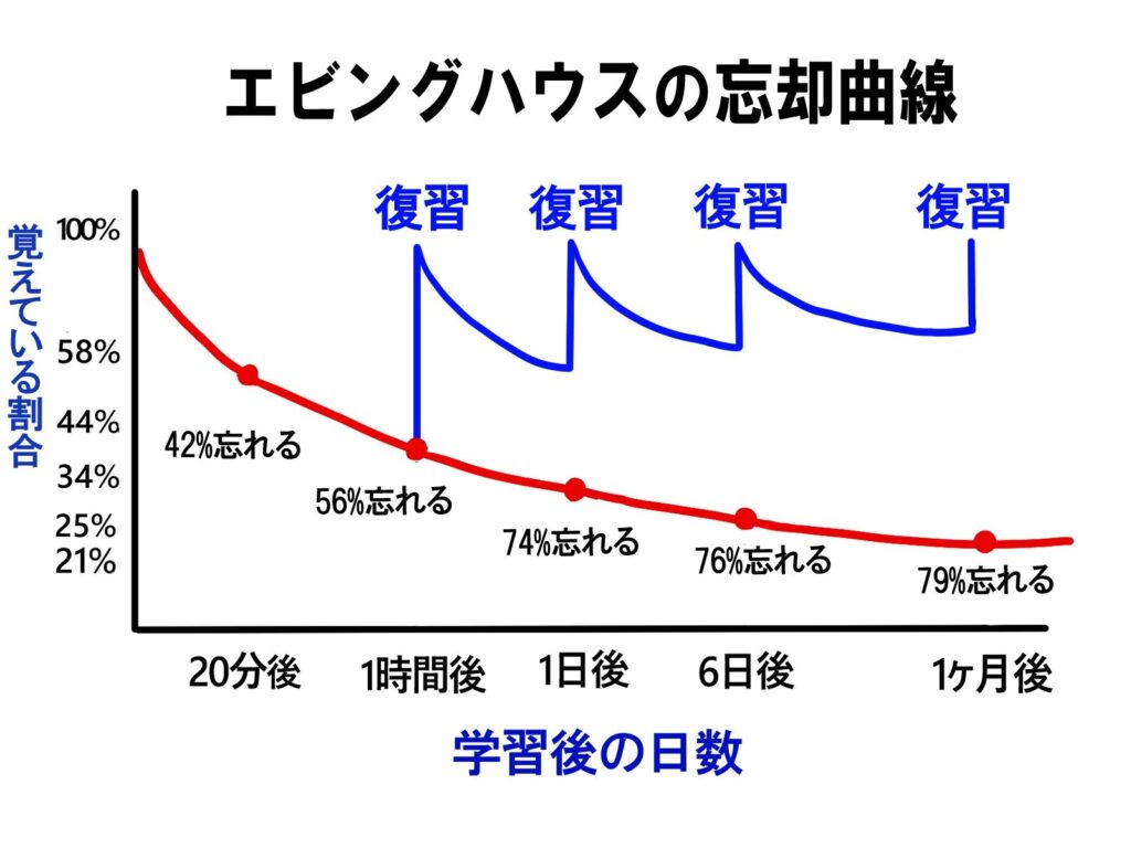 ビューティー資格ナビで見つけるアイリスト・まつエクの資格