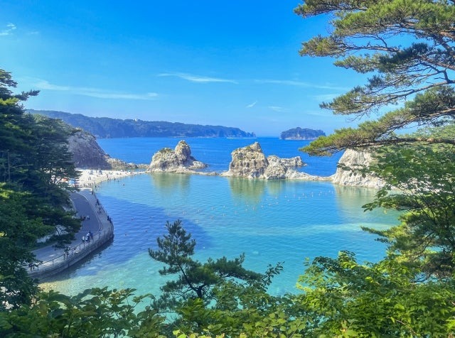 通信制大学の「単位」を落とした時のショックと向き合い方