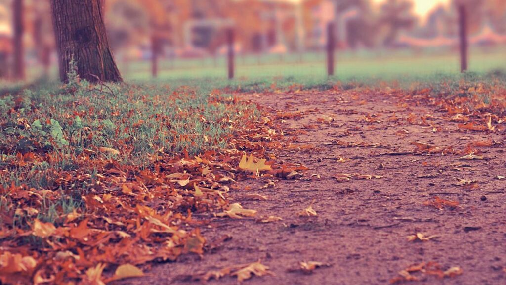 進研ゼミ高校講座。模試の結果が悪かった時の気持ちの切り替え